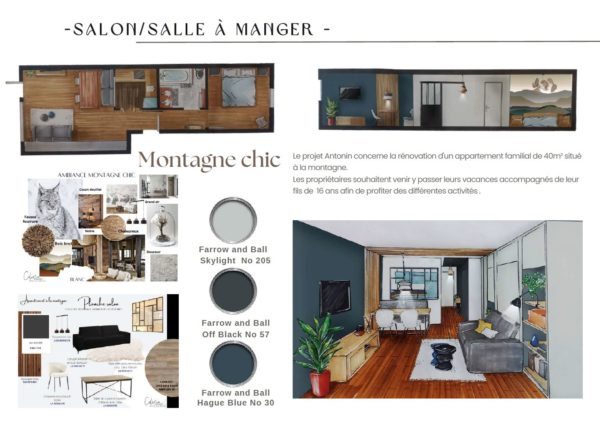 Projet Antonin