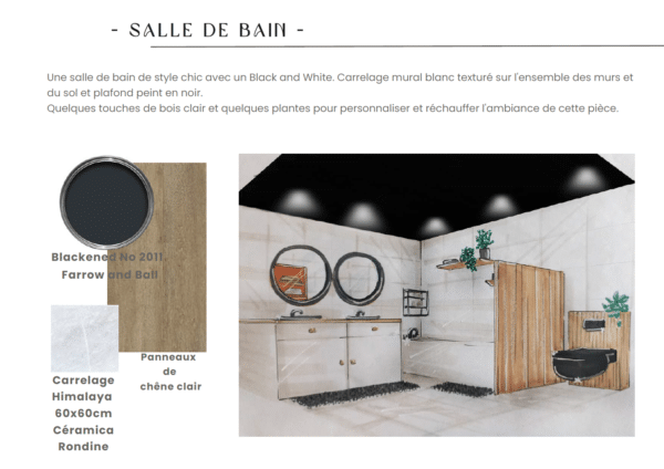 Projet Antonin – Image 4
